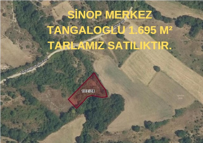SİNOP MERKEZ TANGALOGLU 1.695 M² TARLAMIZ SATILIKTIR.